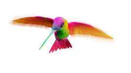 Argos Hummingbird